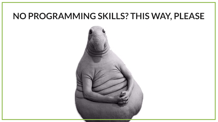 Meme: 'No programming skills? This way, please'