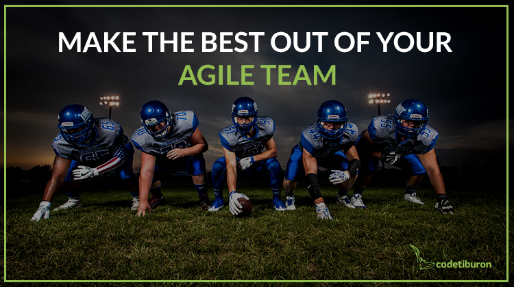 Make the Best out of Your Agile Team