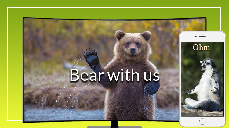 Bear with us meme